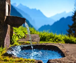 הרצאות דיגיטליות לצפייה באתר - היטהרות (שני שיעורים)