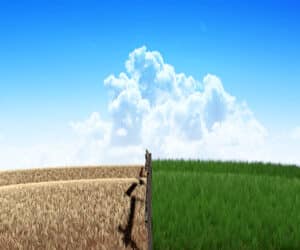 הרצאה דיגיטלית לצפייה באתר - הקנאה