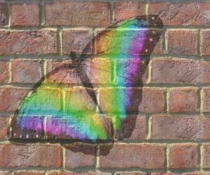 הרצאה דיגיטלית לצפייה באתר - התגברות ושחרור מפחדים