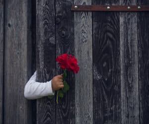 הרצאה דיגיטלית לצפייה באתר - מי אני