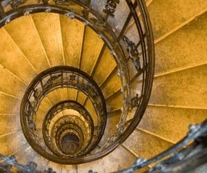 הרצאה דיגיטלית לצפייה באתר - מעגלי החיים