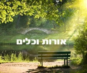 קורס דיגיטלי לצפייה דרך האתר - אורות וכלים (9 שיעורים)