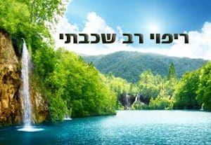 קורס דיגיטלי לצפייה דרך האתר - ריפוי רב שכבתי (8 שיעורים)