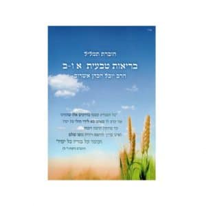 ספר תמליל של סדרת בריאות טבעית