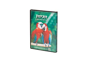 ערכת דיסקים לשמיעה - זוגיות (4 דיסקים CD)