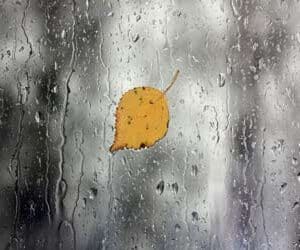 קורס דיגיטלי לצפייה דרך האתר - תניא (31 שיעורים)